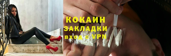 прущие грибы Верея