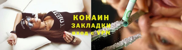 прущие грибы Верея