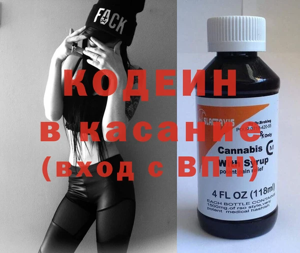 прущие грибы Верея