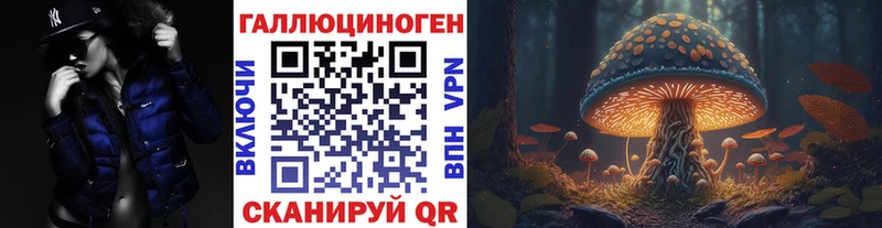 Псилоцибиновые грибы Cubensis Верея